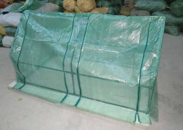 mini greenhouse