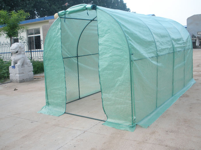 Mini Greenhouse