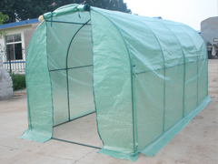 Mini Greenhouse 13