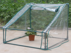 Mini Greenhouse 14