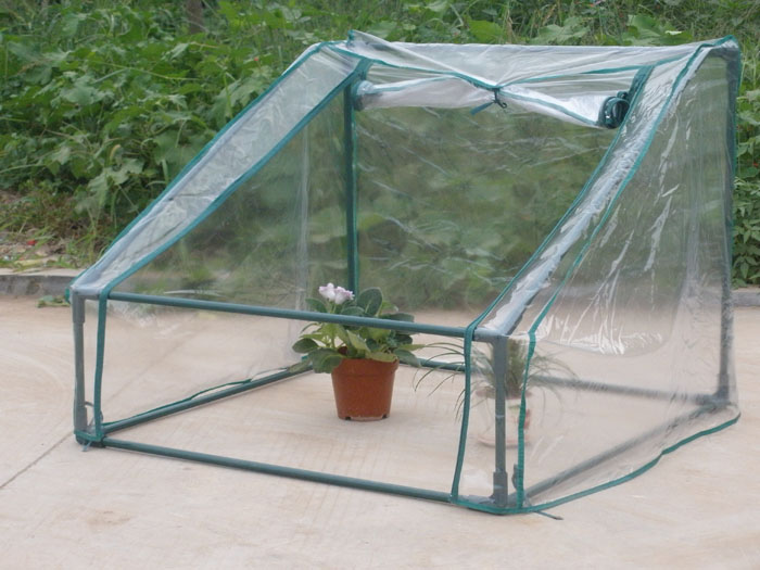 Mini Greenhouse