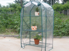 Mini Greenhouse 15
