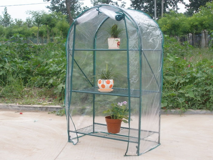 Mini Greenhouse