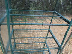 Mini Greenhouse 21