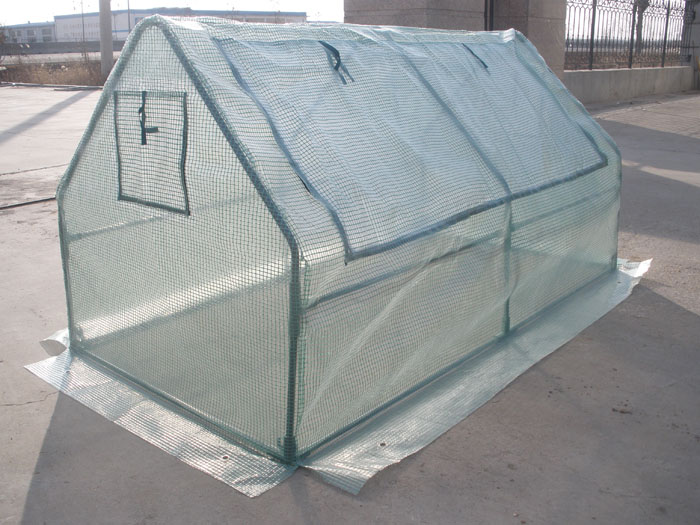 Mini Greenhouse