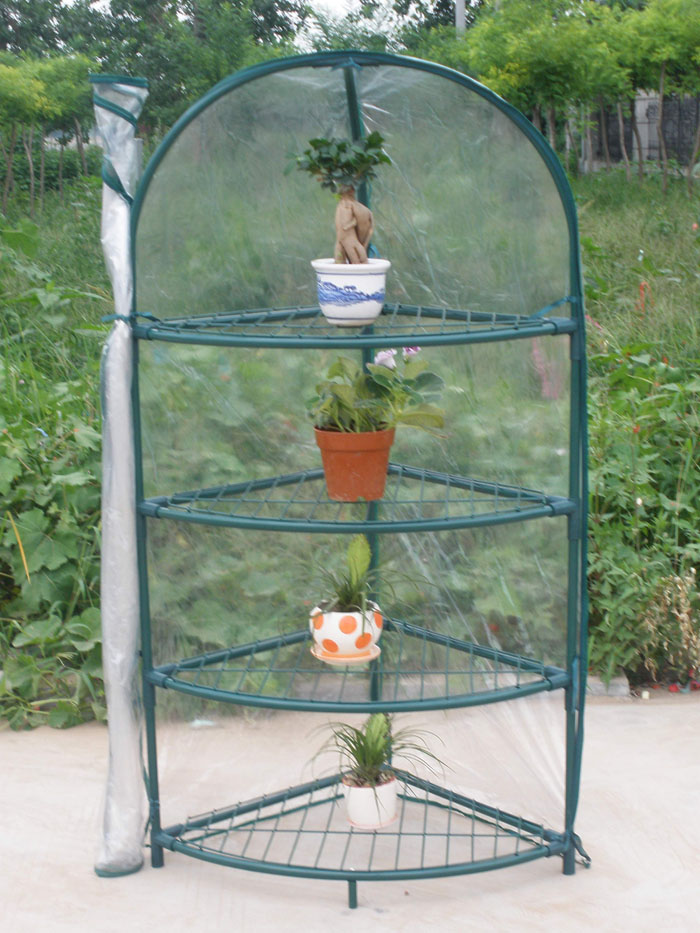 Mini Greenhouse