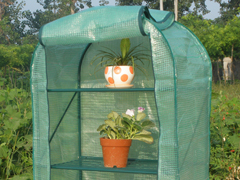 Mini Greenhouse 25