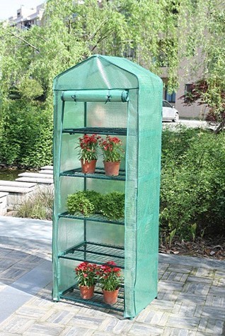 Mini Greenhouse