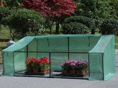 Mini Greenhouse 27