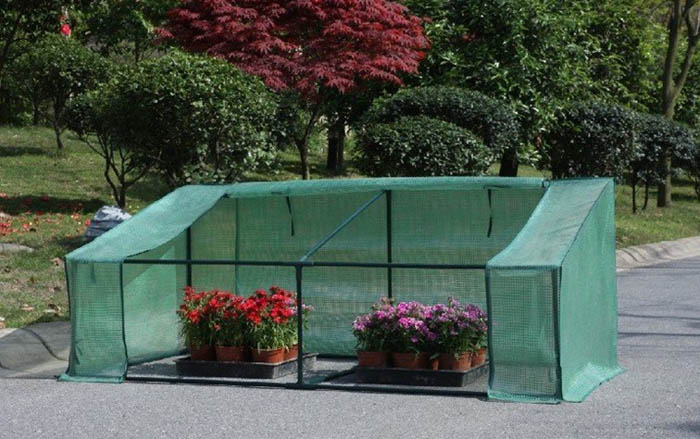 Mini Greenhouse