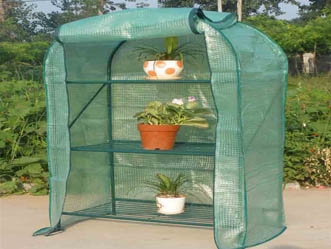 Garden Greenhouse 6