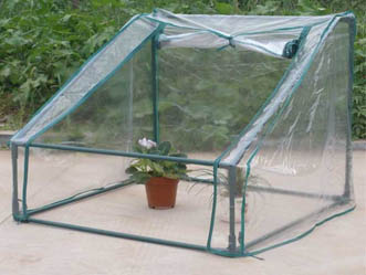 Garden Greenhouse 7